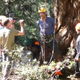 Image for article titled This Nonprofit Is Quietly Cloning the World's Largest (and Oldest) Trees